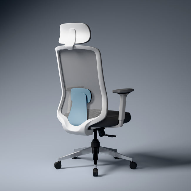 Renewed Cosmos Lite Minimal Design Ergonomic Office Chair | Synchro-Tilt Recline