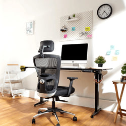 Green Soul Ergonomics