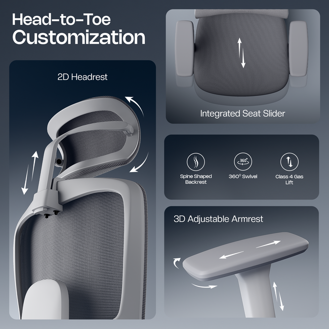 Orion Ergonomic Office Chair for Work with Dual Panel Backrest