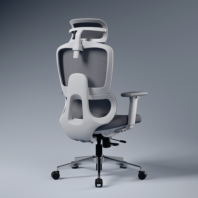 Orion Ergonomic Office Chair for Work with Dual Panel Backrest