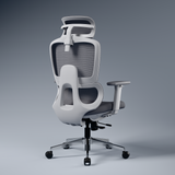 Orion Ergonomic Office Chair for Work with Dual Panel Backrest