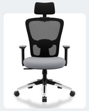 Green Soul Renewed Jupiter Superb High Back Office Chair