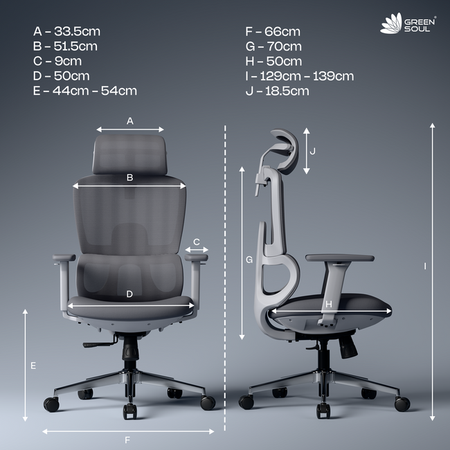 Orion Ergonomic Office Chair for Work with Dual Panel Backrest