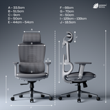 Orion Ergonomic Office Chair for Work with Dual Panel Backrest