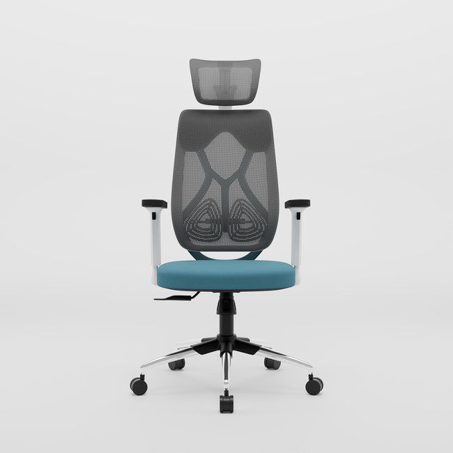 Green Soul Renewed Zodiac Superb High Back Mesh Office Chair