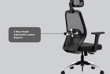 Green Soul Eva High Back Mesh Premium Office Chair