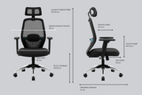 Green Soul Eva High Back Mesh Premium Office Chair