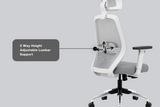 Green Soul Eva High Back Mesh Premium Office Chair
