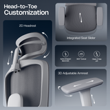 Orion Ergonomic Office Chair for Work with Dual Panel Backrest