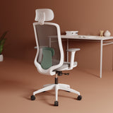 Green Soul Renewed Cosmos Green High Back Premium Office Chair Renewed Green Soul Ergonomics   