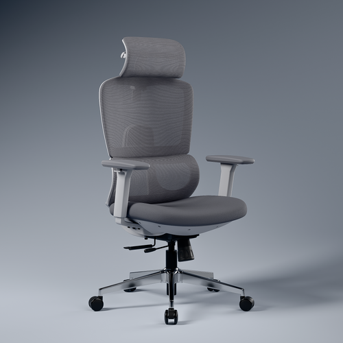 Orion Ergonomic Office Chair for Work with Dual Panel Backrest