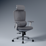 Orion Ergonomic Office Chair for Work with Dual Panel Backrest