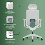 Green Soul Renewed Cosmos Green High Back Premium Office Chair Renewed Green Soul Ergonomics   