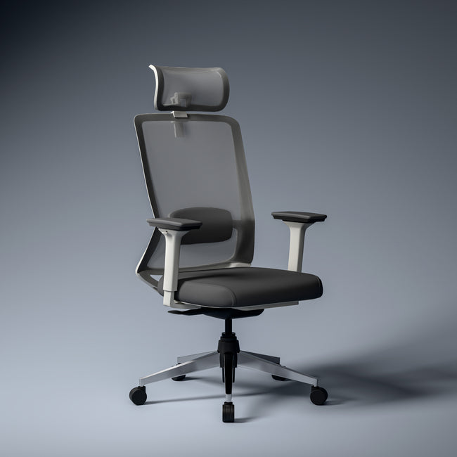 Green Soul Leo Superb Premium Ergonomic Office Chair