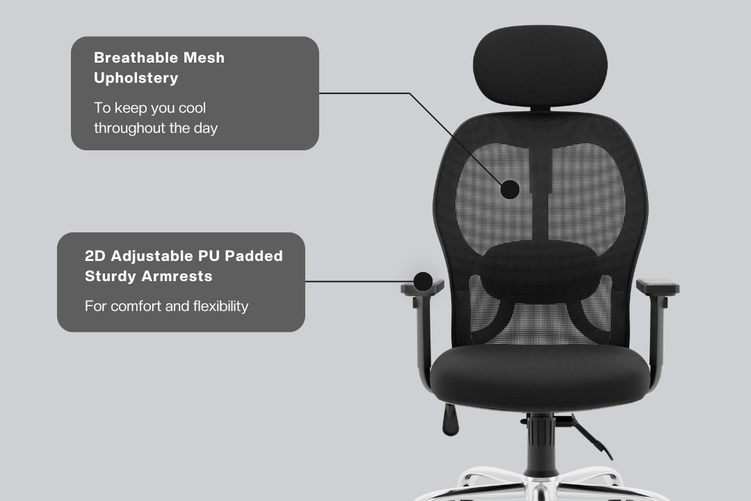 Buy New York Classic High Back Mesh Office Chair Online GreenSoul
