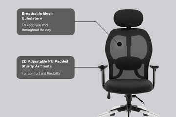 Buy New York Superb High Back Mesh Office Chair Online | GreenSoul