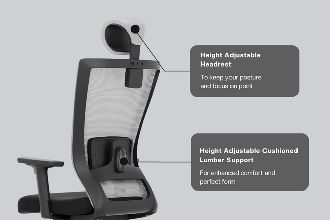 Green Soul Primus High Back Office Chair Office Chairs Green Soul Ergonomics   