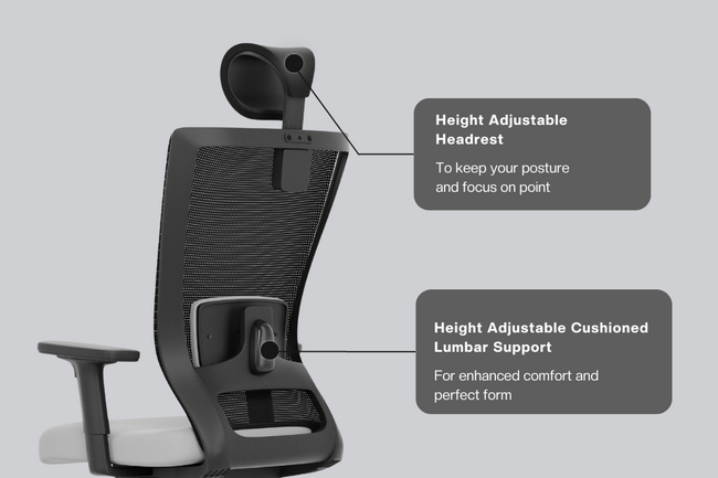 Green Soul Primus High Back Office Chair Office Chairs Green Soul Ergonomics   