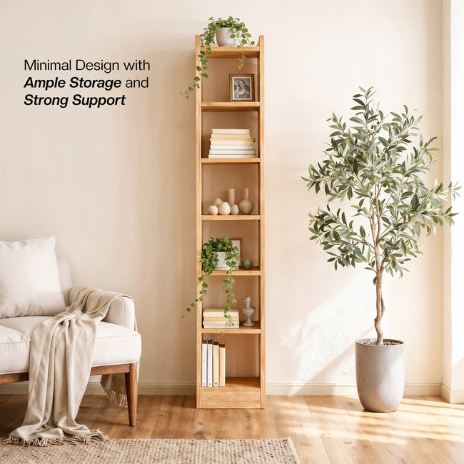Green Soul Renewed Alba Book Shelf