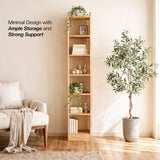 Green Soul Renewed Alba Book Shelf