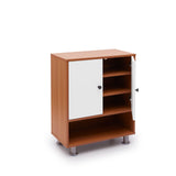 Tundra 2-Door Shoe Cabinet Cabinet Green Soul Ergonomics   
