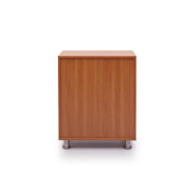 Tundra 2-Door Shoe Cabinet Cabinet Green Soul Ergonomics   