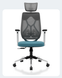 Green Soul Renewed Zodiac Lite High Back Mesh Office Chair