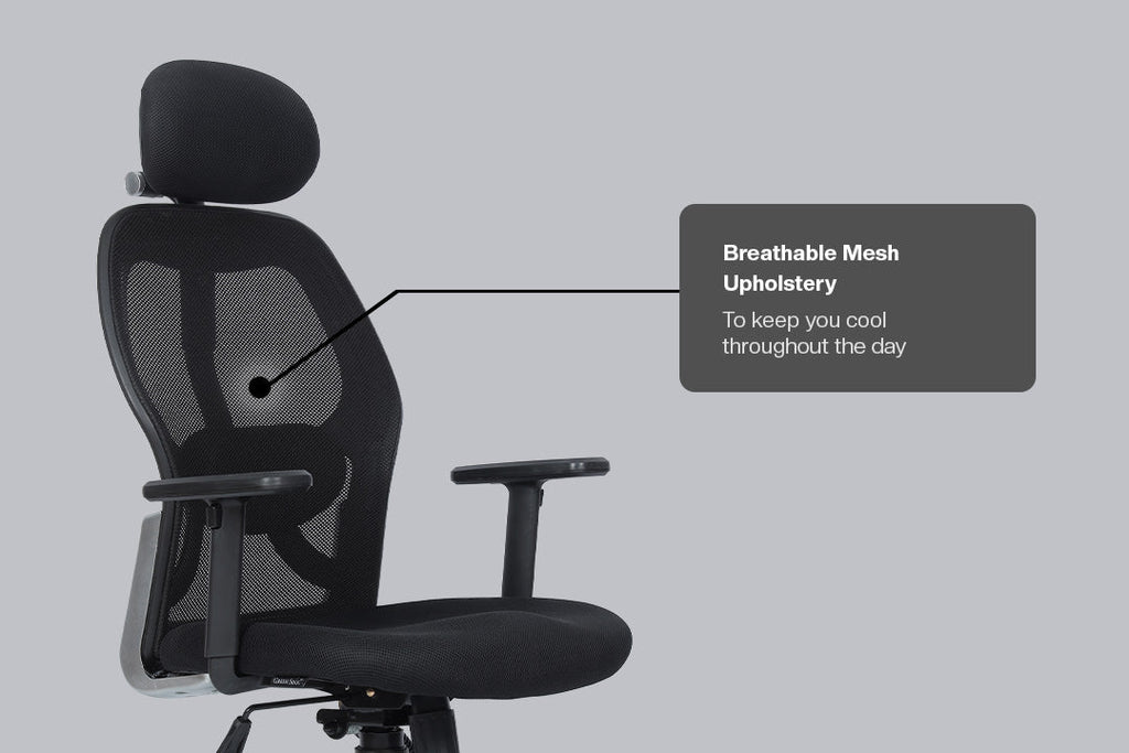 Buy Renewed New York High Back Mesh Office Chair Online GreenSoul