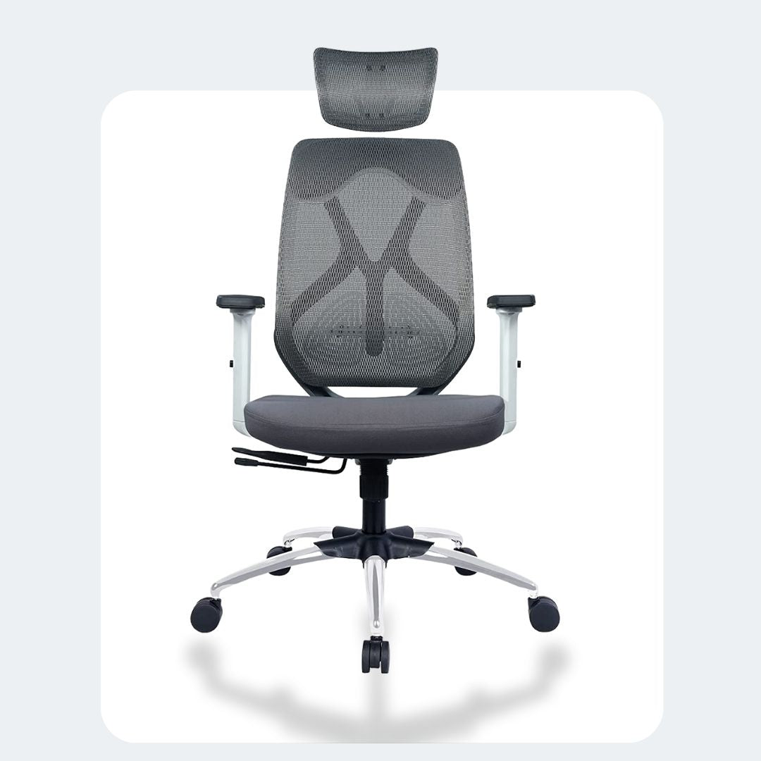 Zodiac Pro High Back Mesh Office Chair_1