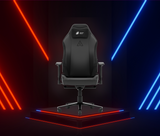 Assassin Gaming Chair Multi-Functional Chair Green Soul Ergonomics gaming-black  